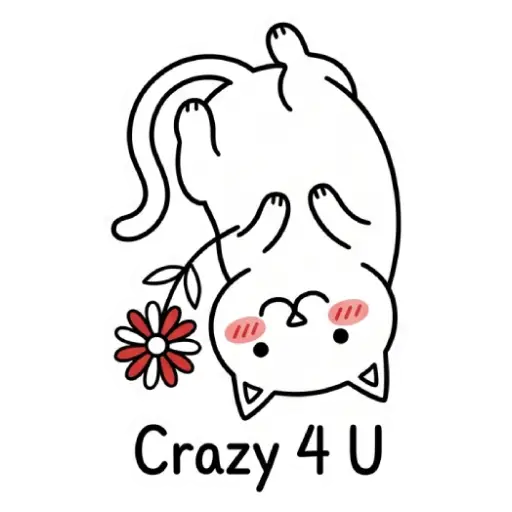 funny, cat, love, romantic, love you, WhatsApp, sticker, valentine (37)